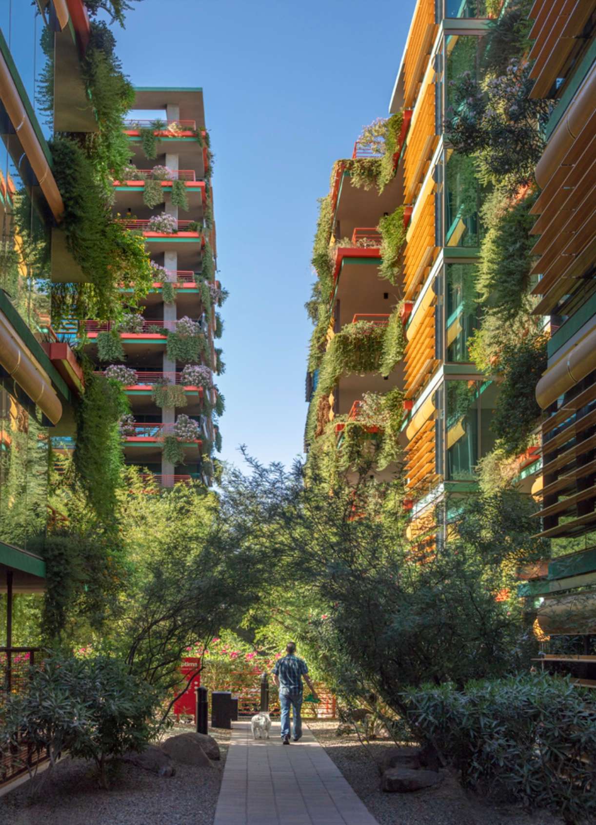 The landscaped courtyard and distinctive vertical gardens at Optima Sonoran Village luxury apartments in Scottsdale, AZ.
