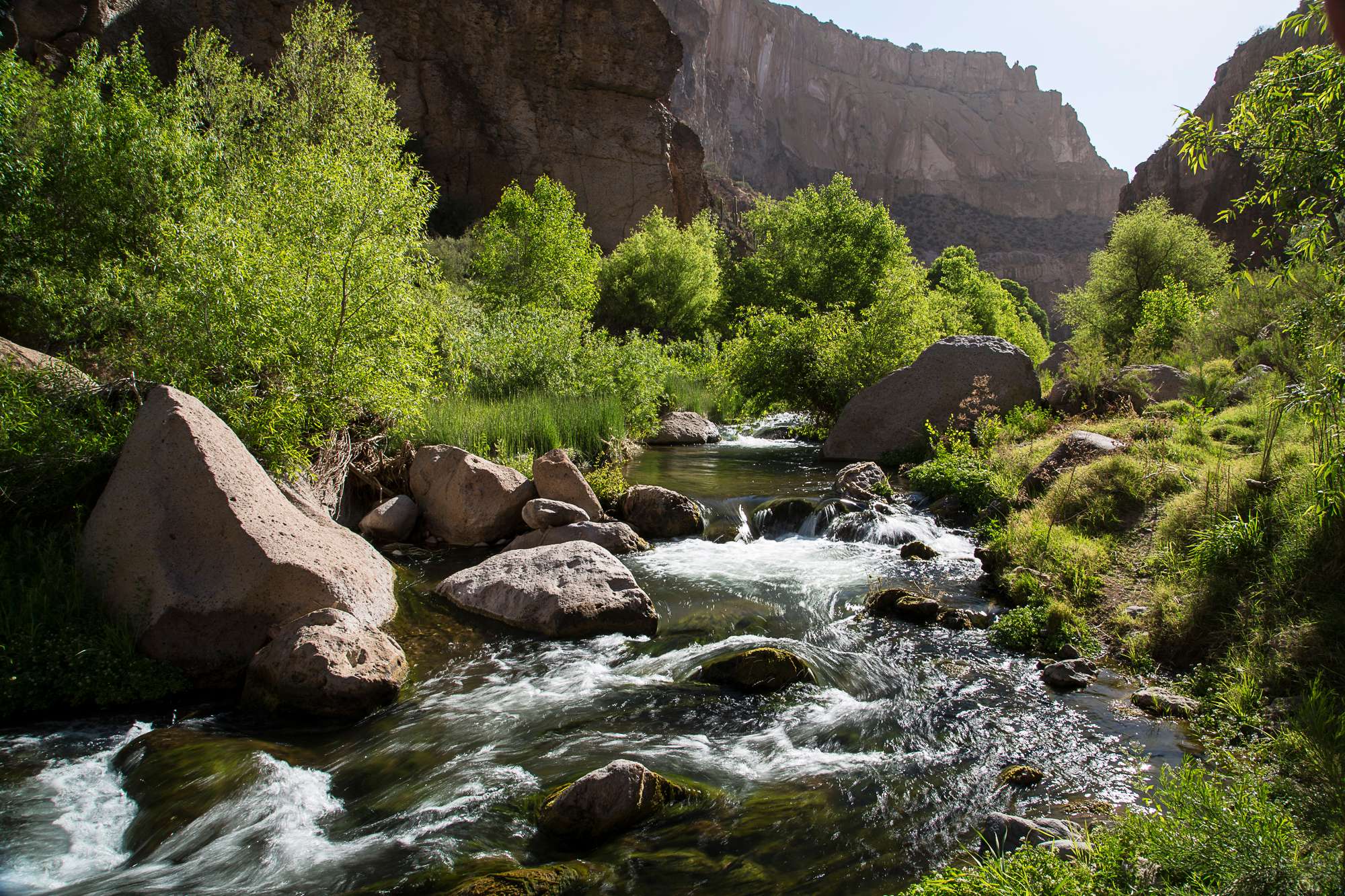 Aravaipa Creek flowing through the volcanic cliffs and lush cottonwood-willow corridor of the Aravaipa Canyon Wilderness.