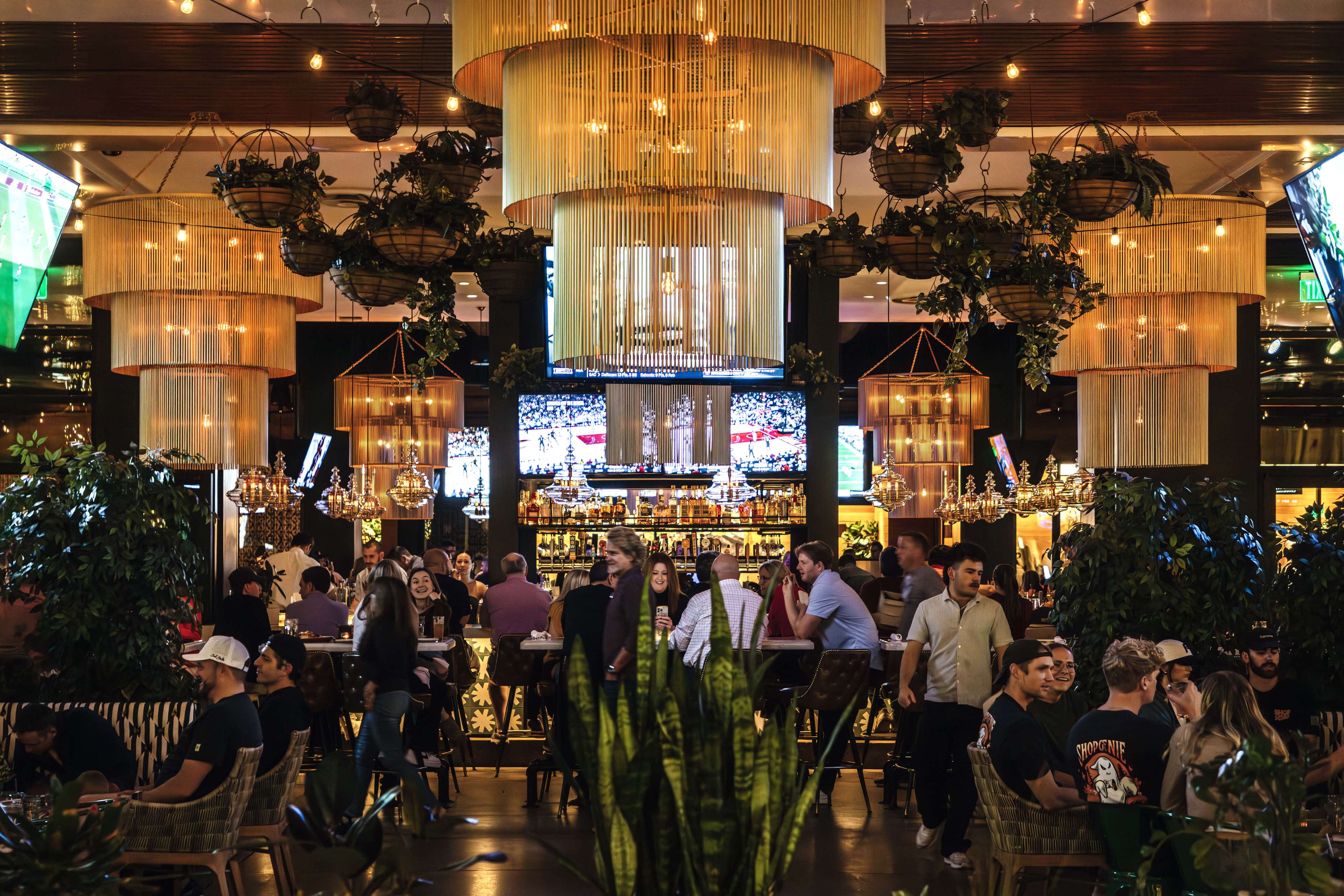 The Culinary Dropout restaurant interior, including tiered gold chain-fringe chandeliers and suspended hanging planters.