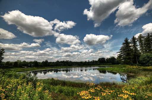 A pond surrounded by lush greenery & wildflowers under a cloudy sky at Meadow Lake, The Morton Arboretum in Lisle, Illinois.